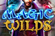 Играть в Magic Wilds